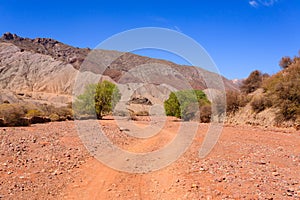 Bolivian canyon near Tupiza,Bolivia photo