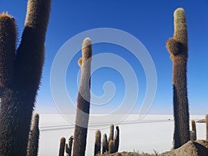 Bolivian desert with rocks and arid landscape