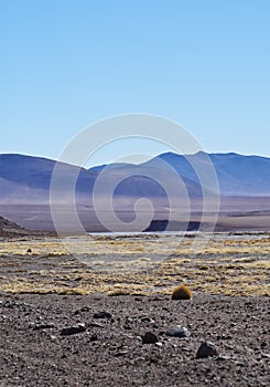 Bolivian Landscape