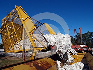 Boll Buggy Dumping Cotton photo
