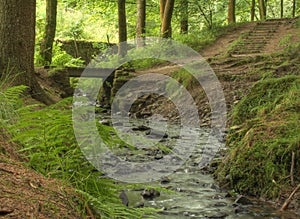 Bollin Brook