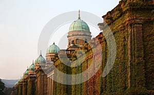 BollÃÂ©'s alea - Mirogoj