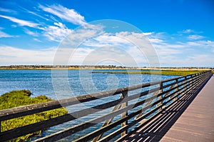 Bolsa Chica Ecological Reserve Huntington Beach, California photo