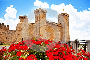 Bolsena castle in spring flowers photo