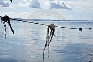 Bolsena Lake view with floating buoys and fishing nets against a blue sky with some clouds. Hills on background. Bolsena lake,