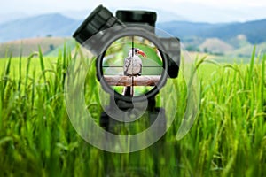 Bolt action sniper rifle aiming on target at shooting range