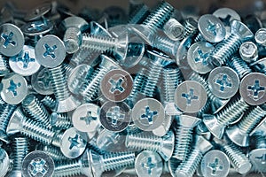 Bolt caps for a phillips screwdriver. A lot of metal screws in a glass box