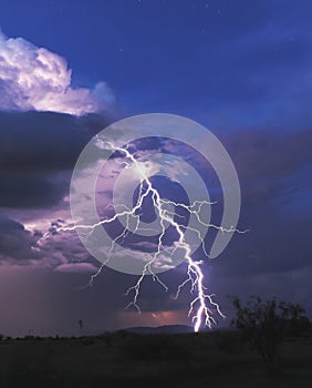 A Bolt of Lightning in the Desert Night