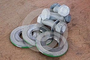 Bolt and nut with gasket