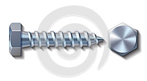 Bolt screw metal pin with head slot and side view