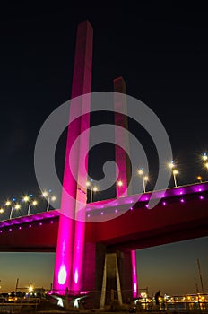 Bolte Bridge at Docklands in Melbourne