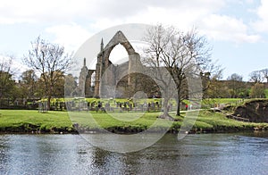 Bolton Abbey