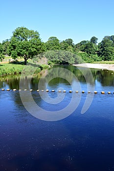 Bolton Abbey from Stepping Stones, River Wharfe, Wharfedale, Yorkshire Dales, England, UK