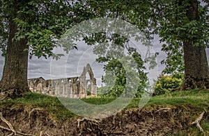 Bolton Abbey in yorkshire, England