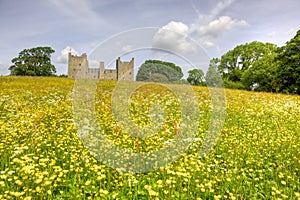 Bolton Castle