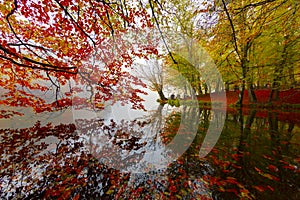 Bolu - Seven Lakes National Park/Derin Lake in Yedigoller National Park, Bolu, Turkey.