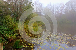 Bomb crater pool ww1 Messines, Ypres, Ieper, Belgium photo