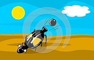 Bombardier beetle