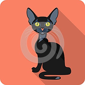 Bombay Black Cat icon flat design photo