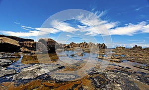 Bombo Headland, Kiama