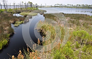 Bon Secour National Wildlife Refuge photo