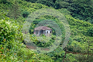 Bonacaud forest is remotly located in western ghats