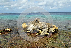 Bonaire shoreline