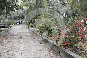 Bonaventure Cemetery on a Rainy Day