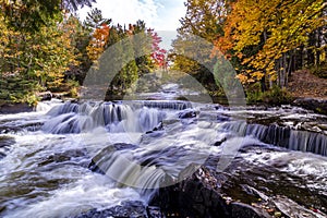 Bond falls in autumn