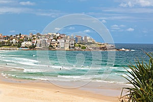 Bondi Beach