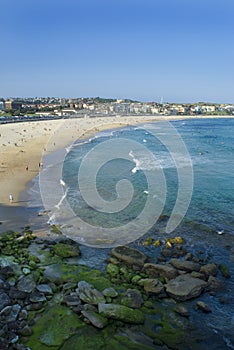 Bondi Beach