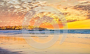 bondi beach and orange sunset reflections