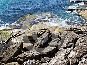 Bondi Beach Rocks