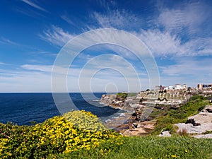 Bondi to Coogee walking track near Waverley Cemetery, Sydney, Australia photo