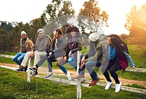 Bonding in the great outdoors. a happy group of friends sitting in a row on a fence together.