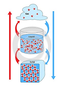 Bonding in States of Matter