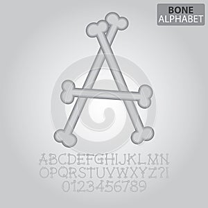 Bone Alphabet and Numbers Vector