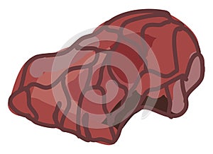 Bone chuck roast, illustration, vector