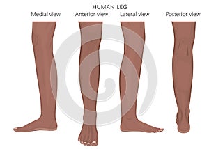 Bone fracture_Leg anatomy African Arabic Indian