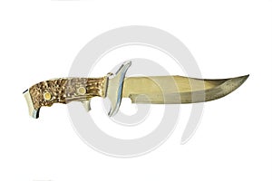 Bone handle hunting knife