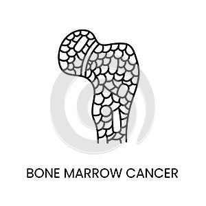 Bone marrow cancer line icon vector cancer malignant disease