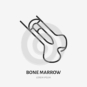 Bone marrow flat line icon. Vector thin pictogram of human skeleton structure, outline illustration for orthopedic photo