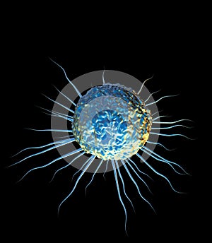 Bone marrow stem cell