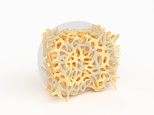 Bone structure part isolated on white