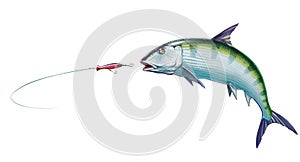 Bonefish fish attacks Popper Lures Topwater Fishing Baits.