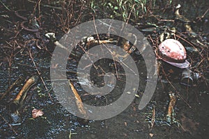 Bones, animal`s remains, construction helmet and gas mask in the puddle of mud in Chernobyl ghost town