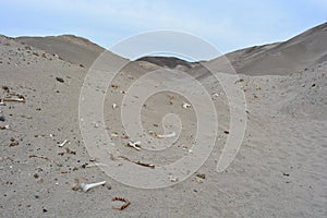 Bones at the desert of Nazca, Peru