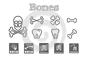 Bones line icon set with x-ray, ribs, arm fracture