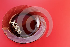 Bones from the neck of a duck on a blue background