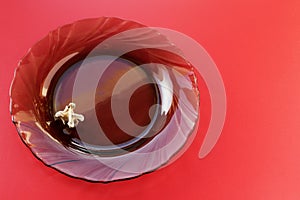 Bones from the neck of a duck on a blue background